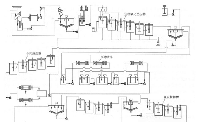 金礦石生物氧化法 金礦石生物氧化法