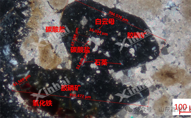 膠磷礦礦石性質(zhì) 膠磷礦礦石性質(zhì)