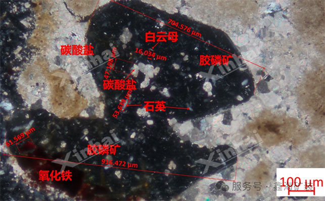 膠磷礦礦石嵌布圖 膠磷礦礦石嵌布圖